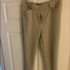 6L Express dress pants